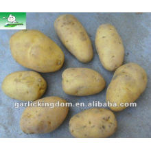 Pomme de terre fraiche de la ferme (100g-150g)